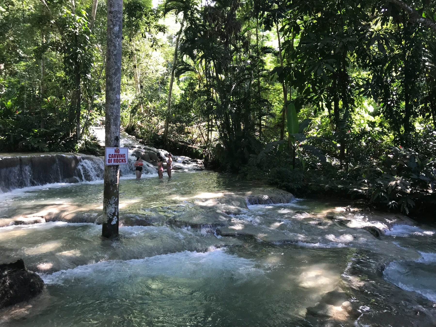 Visitors wading up the terraced cascades of Dunn's River Falls under a green canopy